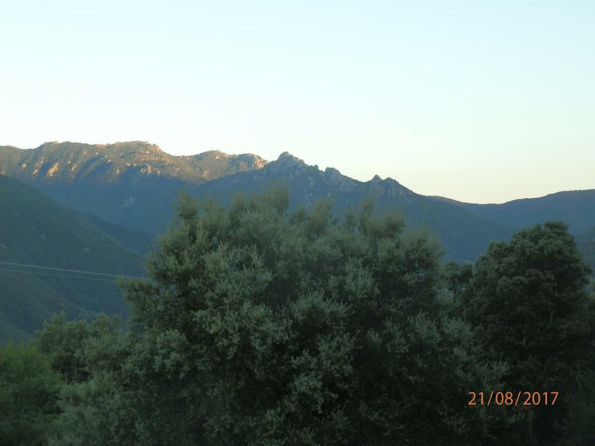 Villa Calme Et Detente Montbolo Luaran gambar
